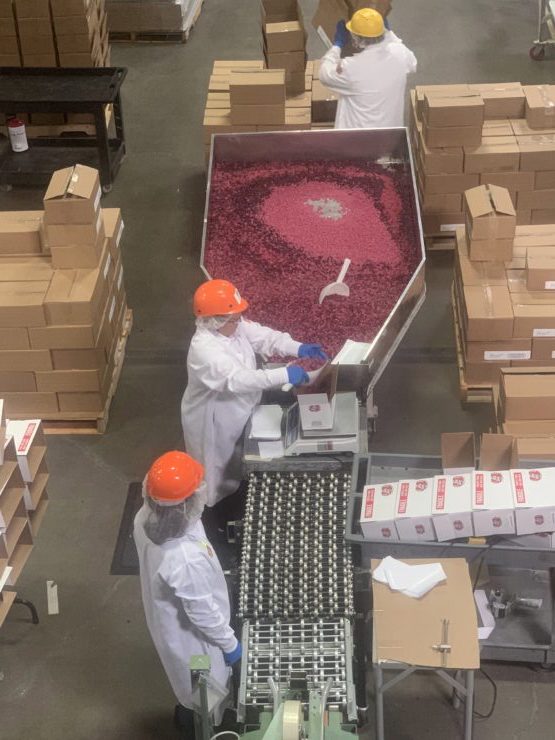 Workers at the Jelly Belly factory mixing flavors.
