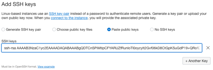 Paste public key