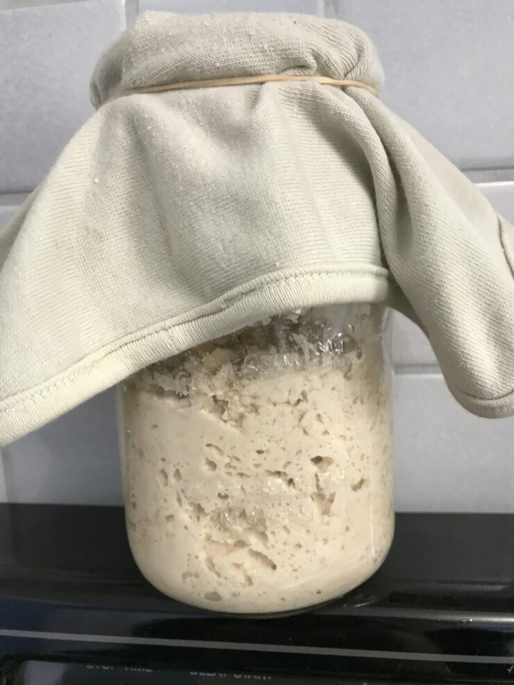 Sourdough starter growth