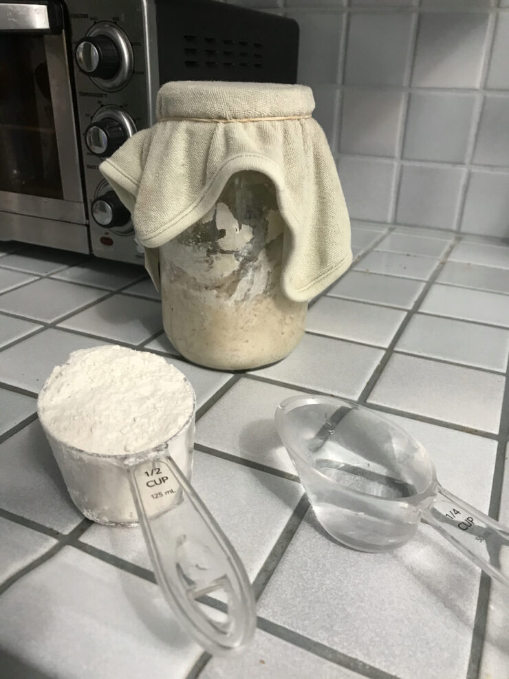 Sourdough starter ingredients