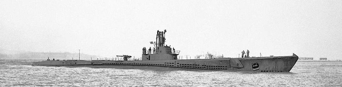 USS Salmon